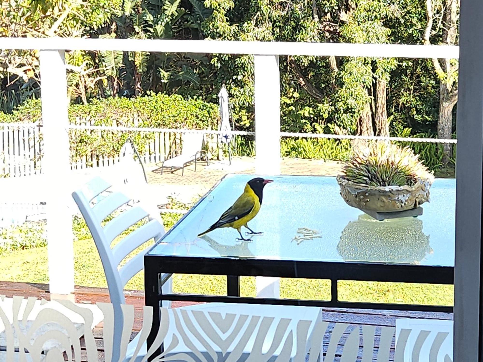 Stannards Guest Lodge 4 Star B&B, קניסנה מראה חיצוני תמונה
