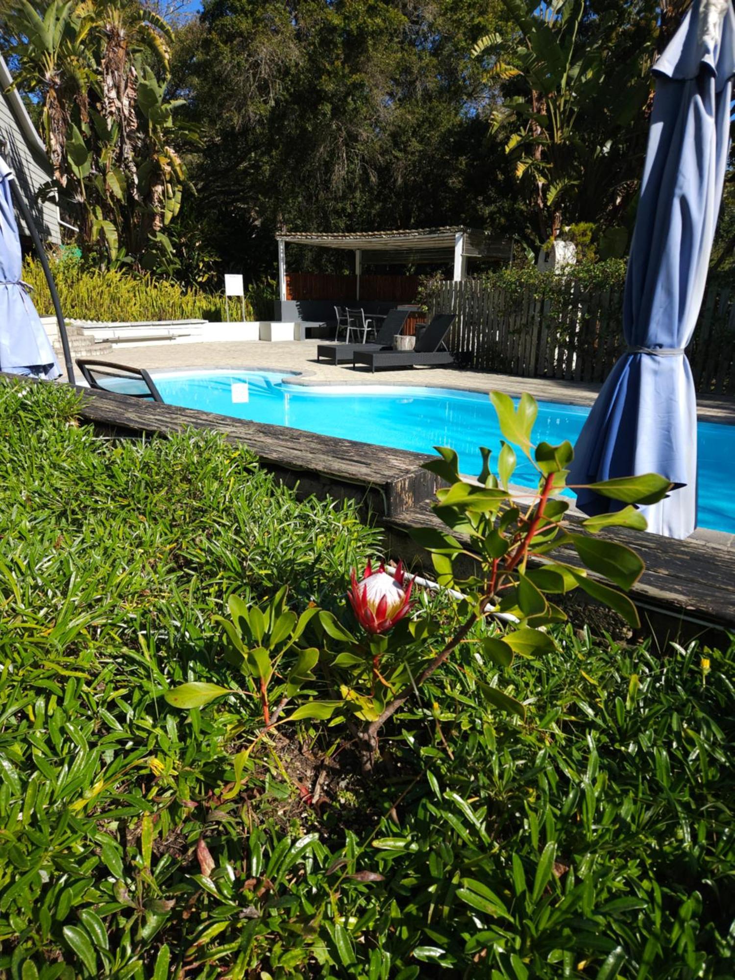 Stannards Guest Lodge 4 Star B&B, קניסנה מראה חיצוני תמונה